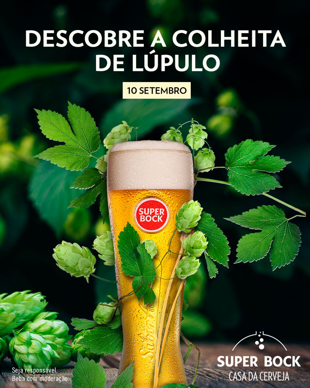 Super Bock Casa da Cerveja convida consumidores para apanha do lúpulo