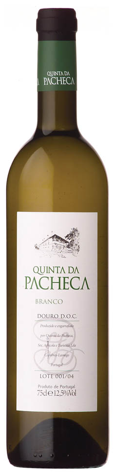 Vinho Pacheca
