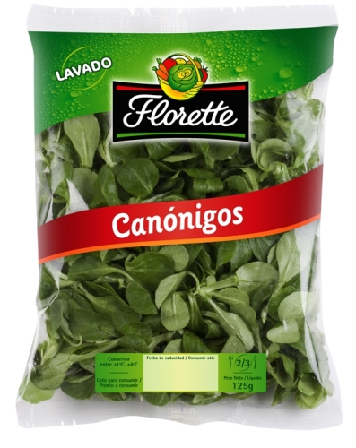 florette1.jpg