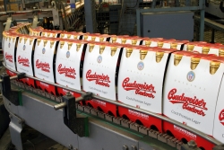 budvar.jpg