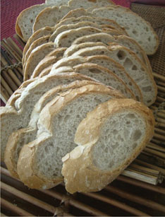 pao-saloio-da-panike.jpg