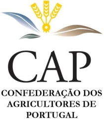 cap-210.jpg
