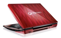 qosmio-210.jpg
