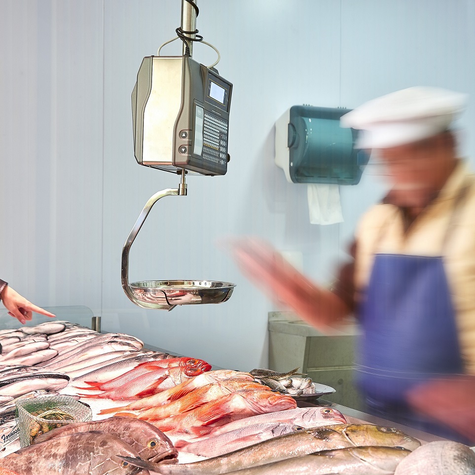 Nova Peixaria Mercado _S1_20