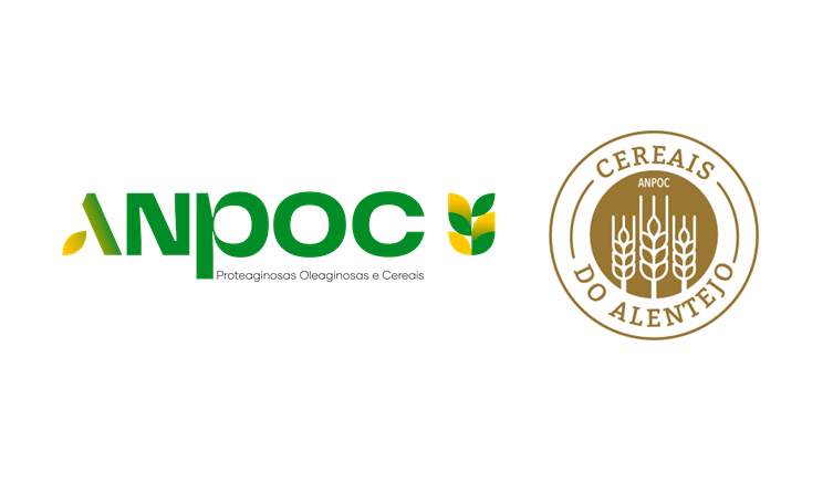 ANPOC e Germen doam trigo e farinha para produção das hóstias da Jornada Mundial da Juventude