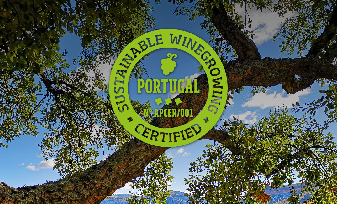 Real Companhia Velha certificada pelo Sustainable Winegrowing Portugal